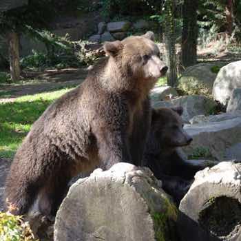 Parc Animalier Casteil