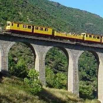 Train Jaune